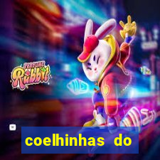 coelhinhas do brasil site